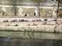  personnes prenant un bain de soleil sur les berges de la Seine